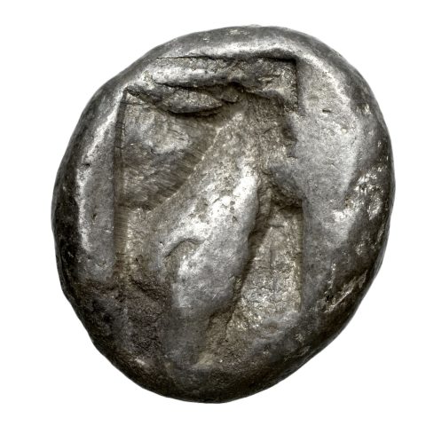 Sikke görseli