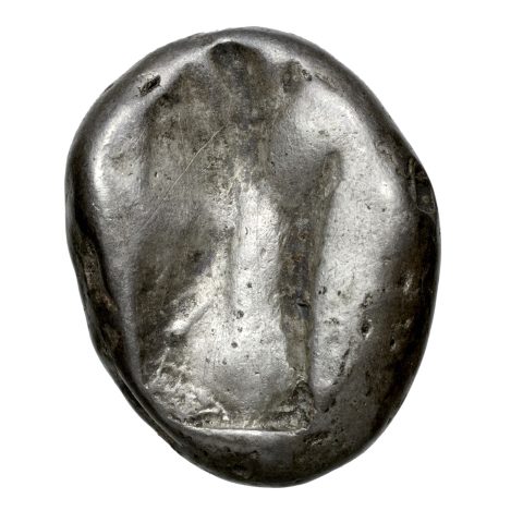 Sikke görseli
