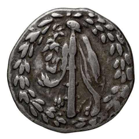 Sikke görseli