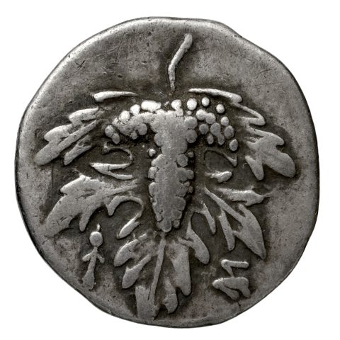 Sikke görseli