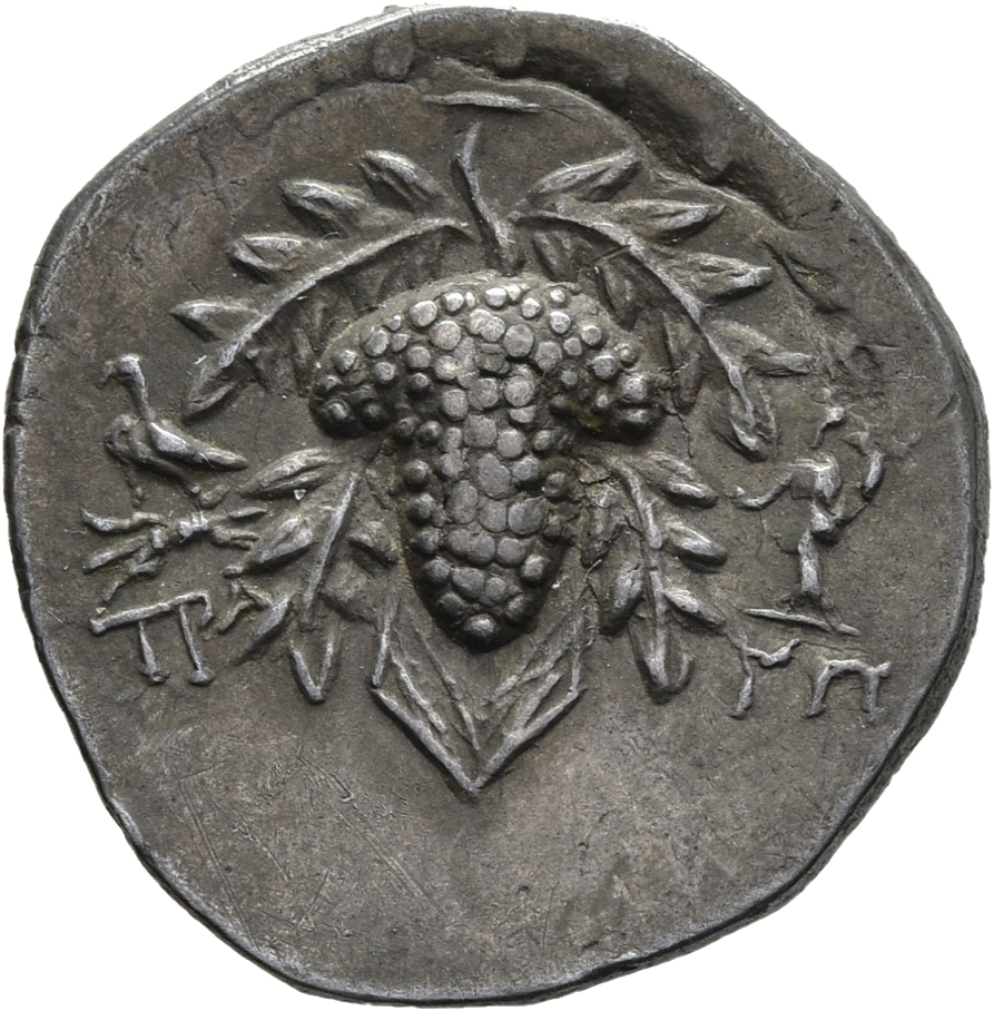 Sikke görseli