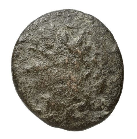 Sikke görseli