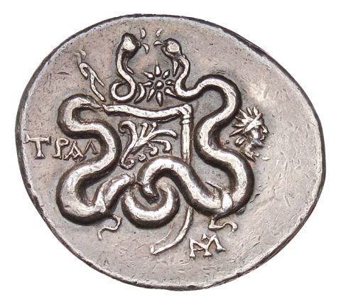 Sikke görseli