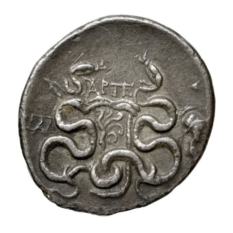 Sikke görseli