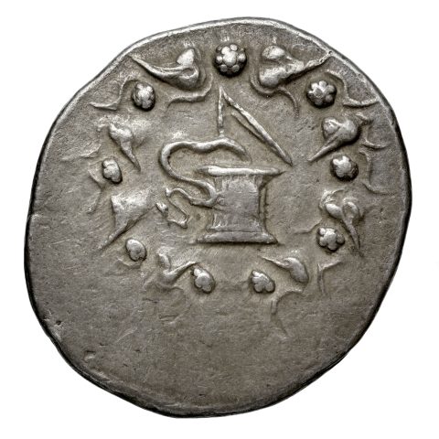 Sikke görseli
