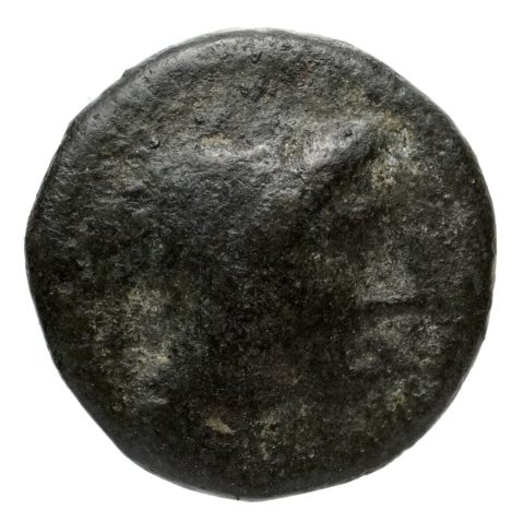 Sikke görseli
