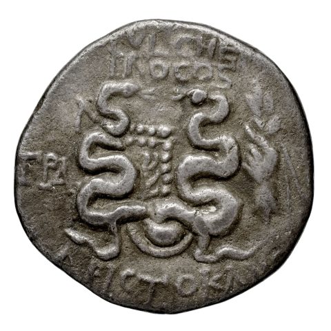 Sikke görseli