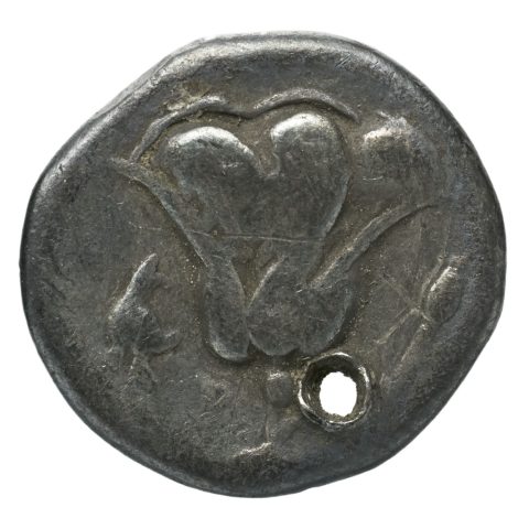 Sikke görseli