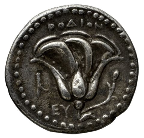 Sikke görseli