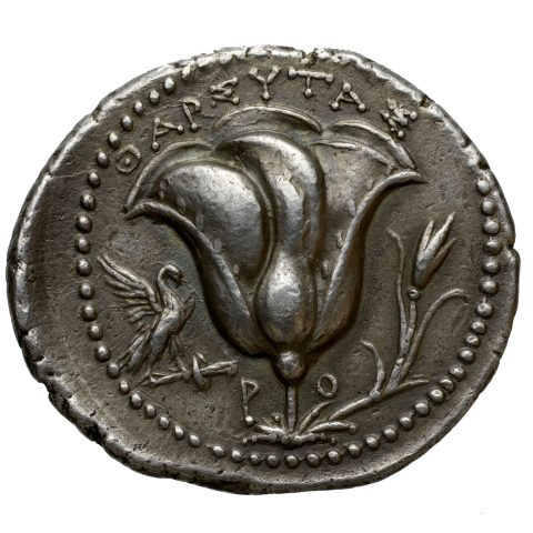 Sikke görseli