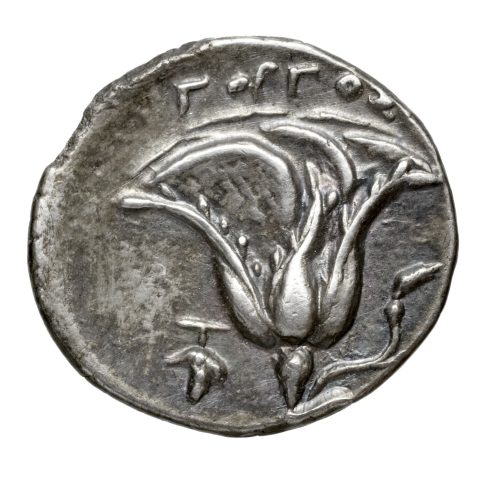 Sikke görseli