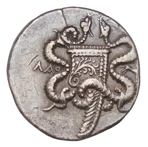 Sikke görseli