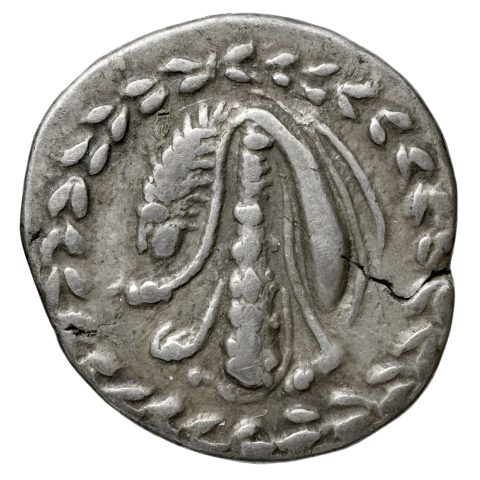 Sikke görseli