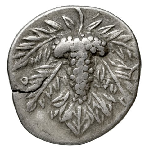 Sikke görseli