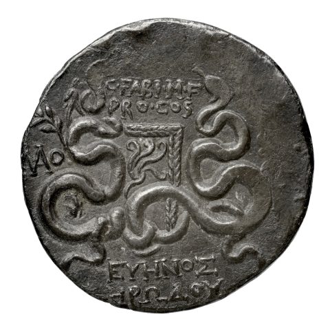 Sikke görseli
