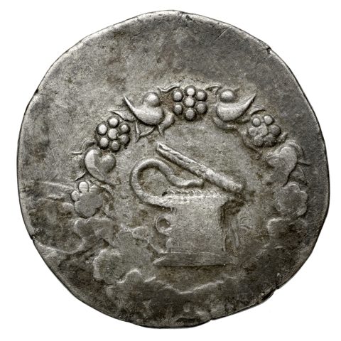 Sikke görseli