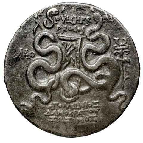 Sikke görseli
