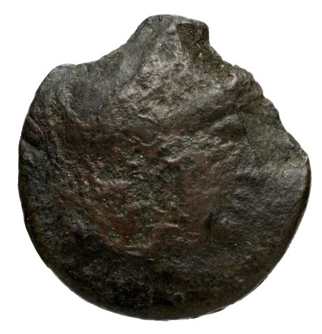Sikke görseli