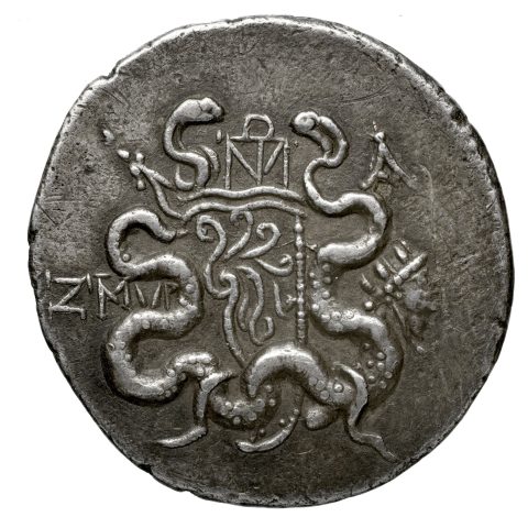 Sikke görseli